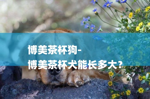 博美茶杯狗-
博美茶杯犬能長多大？