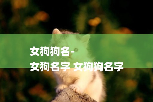 女狗狗名-
女狗名字 女狗狗名字