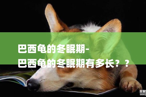巴西龜的冬眠期-
巴西龜的冬眠期有多長？？