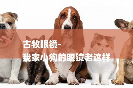 古牧眼鏡-
我家小狗的眼鏡老這樣