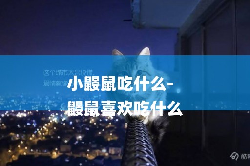 小鼴鼠吃什么-
鼴鼠喜歡吃什么