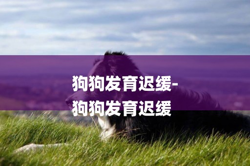 狗狗發育遲緩-
狗狗發育遲緩