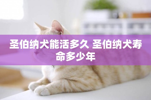 圣伯納犬能活多久 圣伯納犬壽命多少年