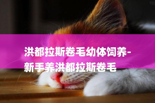 洪都拉斯卷毛幼體飼養-
新手養洪都拉斯卷毛