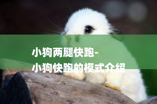 小狗兩腿快跑-
小狗快跑的模式介紹