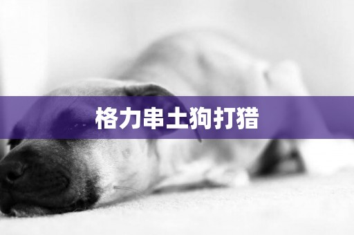 格力串土狗打獵