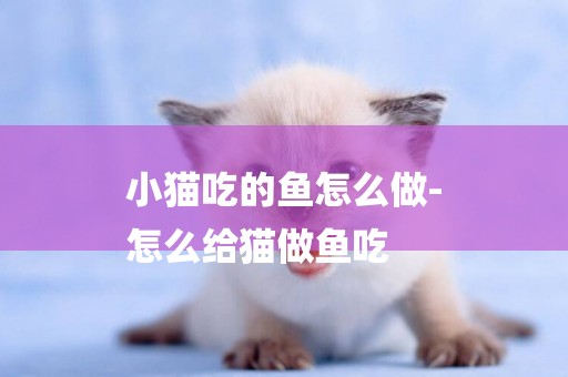 小貓吃的魚怎么做-
怎么給貓做魚吃