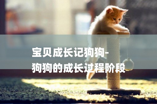 寶貝成長記狗狗-
狗狗的成長過程階段