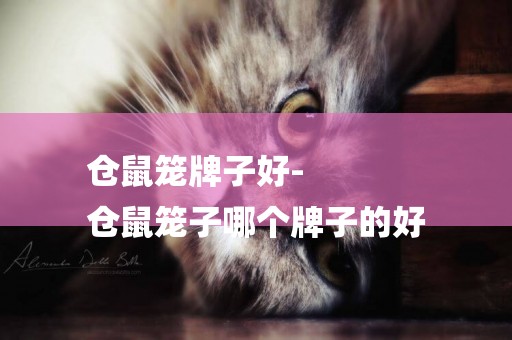 倉鼠籠牌子好-
倉鼠籠子哪個牌子的好