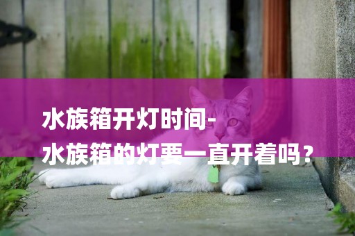水族箱開燈時間-
水族箱的燈要一直開著嗎？