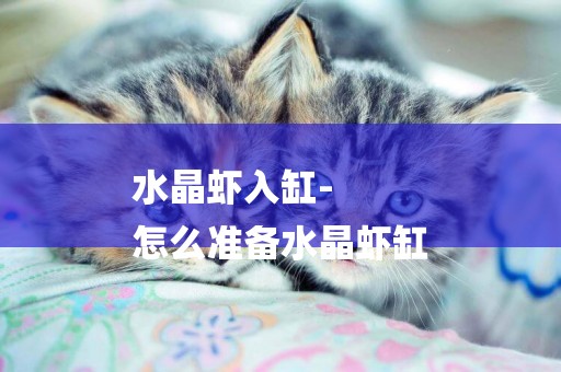 水晶蝦入缸-
怎么準備水晶蝦缸