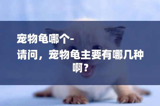 寵物龜哪個-
請問，寵物龜主要有哪幾種啊？