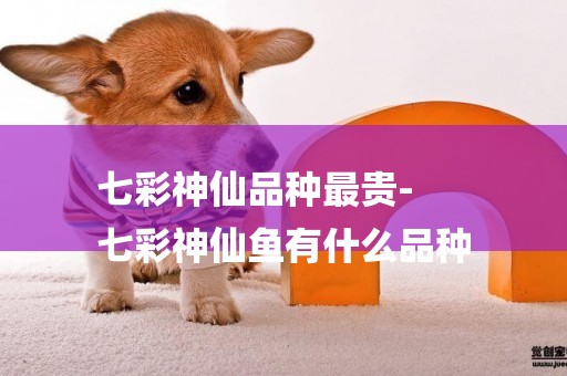 七彩神仙品種最貴-
七彩神仙魚有什么品種