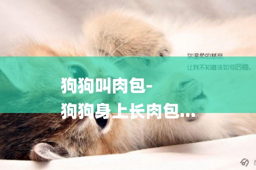 狗狗叫肉包-
狗狗身上長肉包...