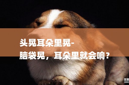 頭晃耳朵里晃-
腦袋晃，耳朵里就會響？
