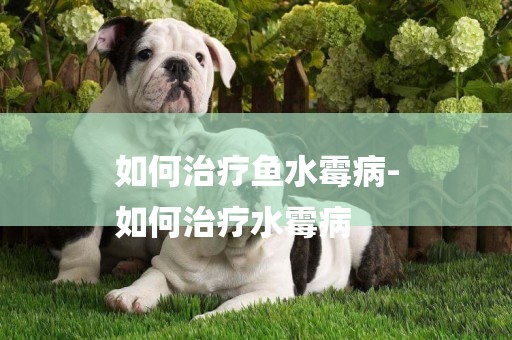 如何治療魚水霉病-
如何治療水霉病