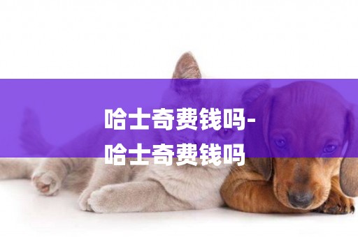 哈士奇費錢嗎-
哈士奇費錢嗎