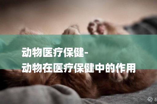 動物醫療保健-
動物在醫療保健中的作用