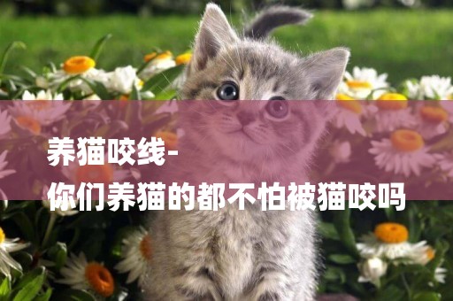 養貓咬線-
你們養貓的都不怕被貓咬嗎