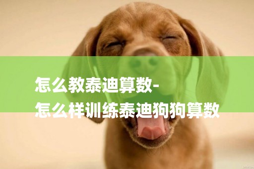 怎么教泰迪算數-
怎么樣訓練泰迪狗狗算數