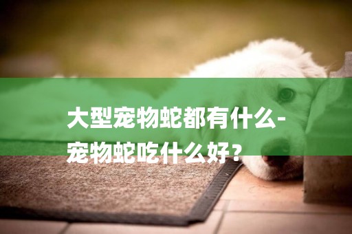 大型寵物蛇都有什么-
寵物蛇吃什么好？