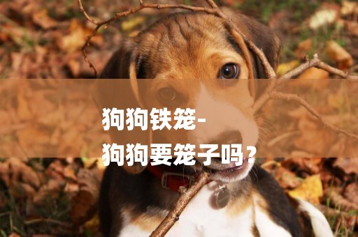 狗狗鐵籠-
狗狗要籠子嗎？