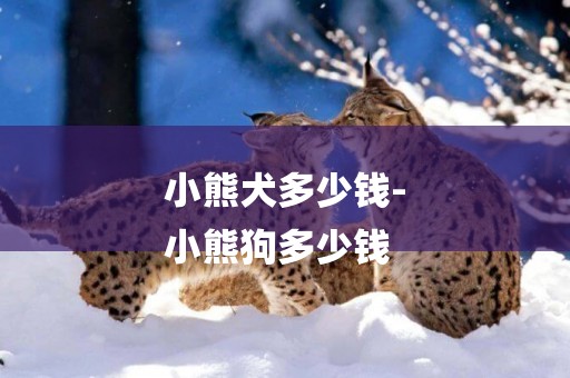小熊犬多少錢-
小熊狗多少錢