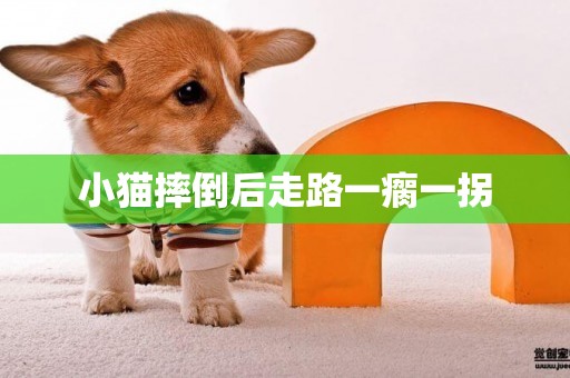 小貓摔倒后走路一瘸一拐