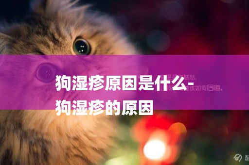 狗濕疹原因是什么-
狗濕疹的原因