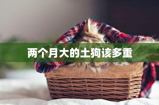 兩個月大的土狗該多重