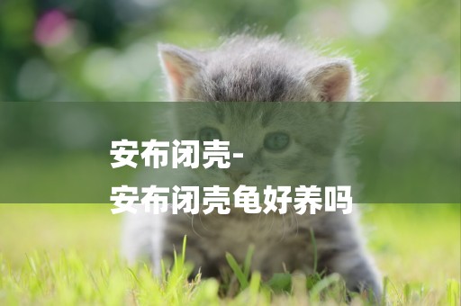 安布閉殼-
安布閉殼龜好養嗎