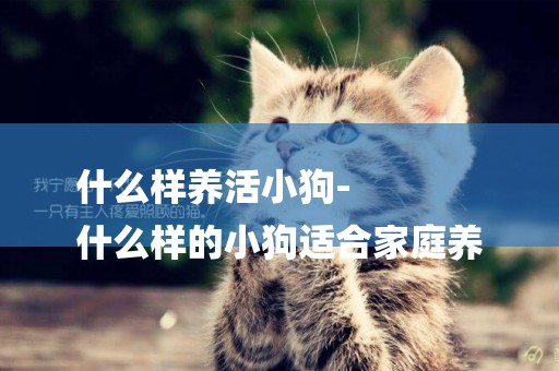 什么樣養活小狗-
什么樣的小狗適合家庭養