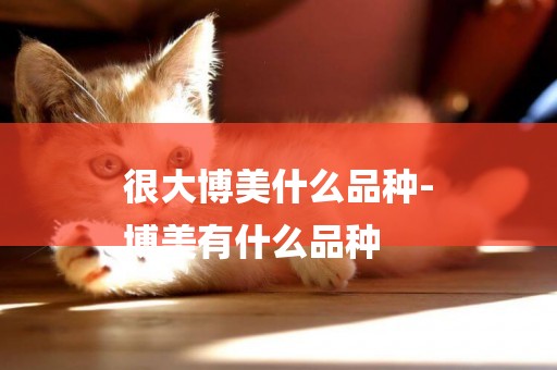 很大博美什么品種-
博美有什么品種