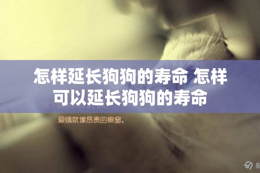 怎樣延長狗狗的壽命 怎樣可以延長狗狗的壽命