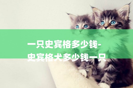 一只史賓格多少錢-
史賓格犬多少錢一只