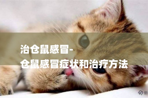 治倉鼠感冒-
倉鼠感冒癥狀和治療方法