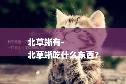 北草蜥有-
北草蜥吃什么東西？