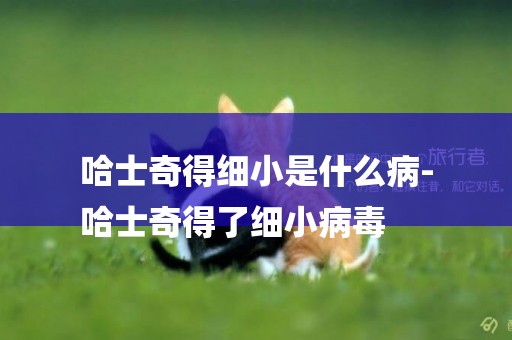 哈士奇得細小是什么病-
哈士奇得了細小病毒