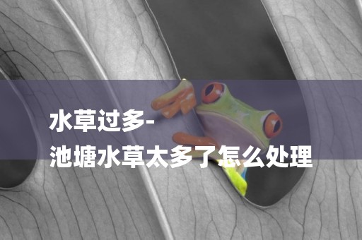 水草過多-
池塘水草太多了怎么處理