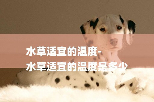 水草適宜的溫度-
水草適宜的溫度是多少
