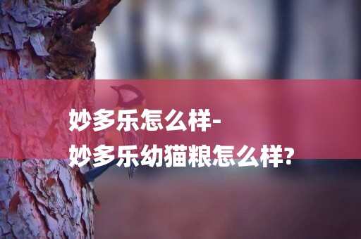 妙多樂怎么樣-
妙多樂幼貓糧怎么樣?