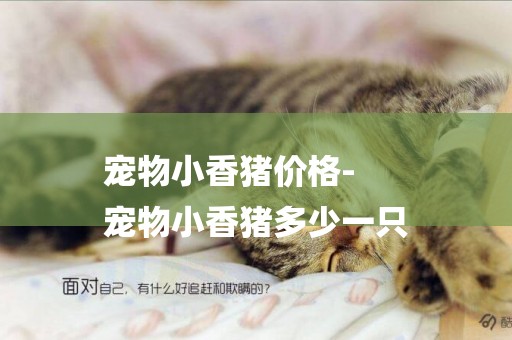 寵物小香豬價格-
寵物小香豬多少一只