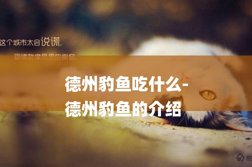德州豹魚吃什么-
德州豹魚的介紹