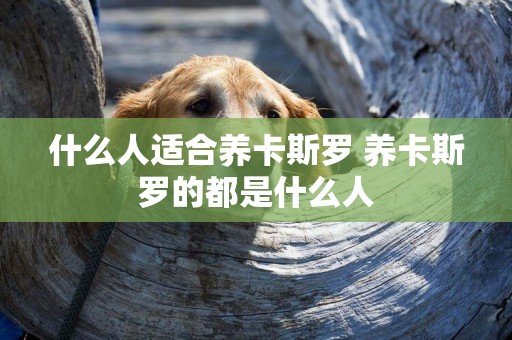 什么人適合養卡斯羅 養卡斯羅的都是什么人