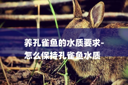 養孔雀魚的水質要求-
怎么保持孔雀魚水質