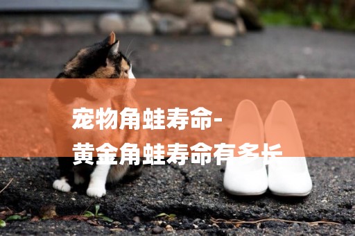 寵物角蛙壽命-
黃金角蛙壽命有多長
