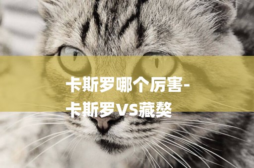 卡斯羅哪個厲害-
卡斯羅VS藏獒