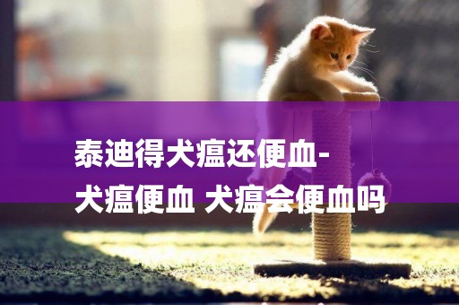 泰迪得犬瘟還便血-
犬瘟便血 犬瘟會便血嗎