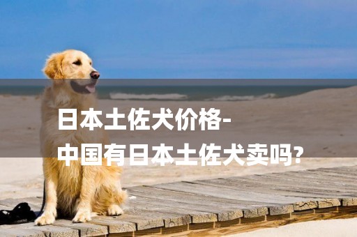 日本土佐犬價格-
中國有日本土佐犬賣嗎?