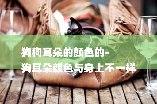 狗狗耳朵的顏色的-
狗耳朵顏色與身上不一樣